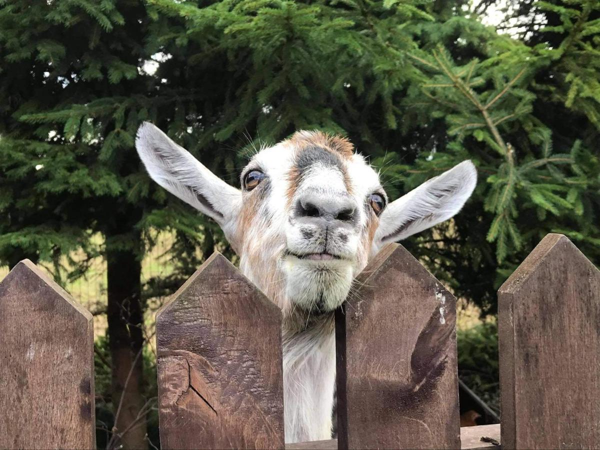 Sielski Zakatek Tokary Dış mekan fotoğraf
